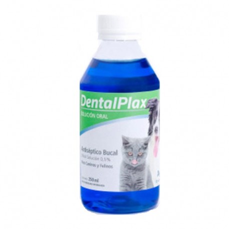DENTAL PLAX