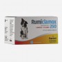 RUMINAL - RUMICLAMOX 250 MG. X 100 COMP.