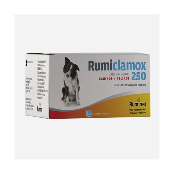 RUMINAL - RUMICLAMOX 250 MG. X 100 COMP.