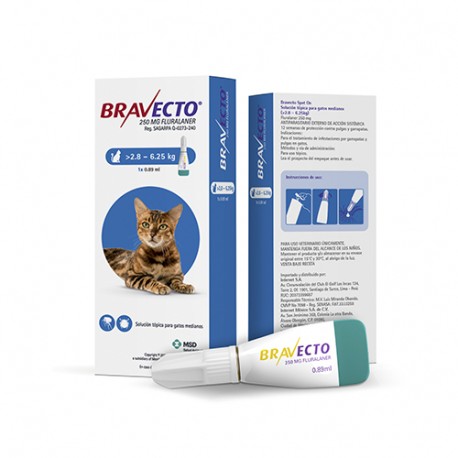 MSD - BRAVECTO GATOS 2.8-6.25 Kg