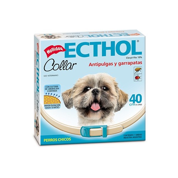 HOLLIDAY - COLLAR ECTHOL CHICO