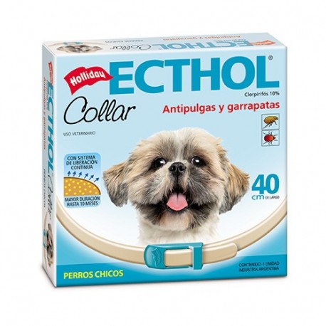 HOLLIDAY - COLLAR ECTHOL CHICO