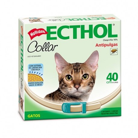 HOLLIDAY - COLLAR ECTHOL GATOS