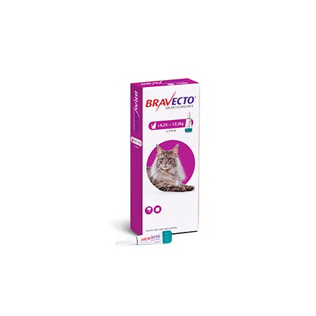MSD - BRAVECTO GATOS 6,25-12,5 Kg