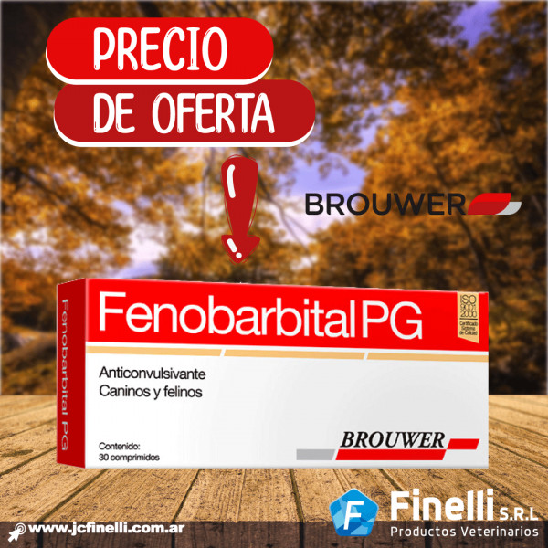 FENOBARBITAL PG x 30 Comp