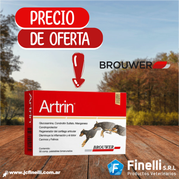 ARTRIN x 30 Comp.