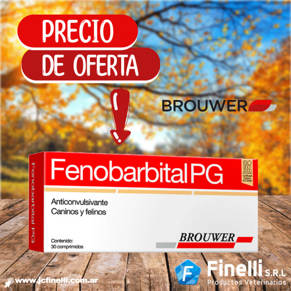FENOBARBITAL PG x 30 Comp.