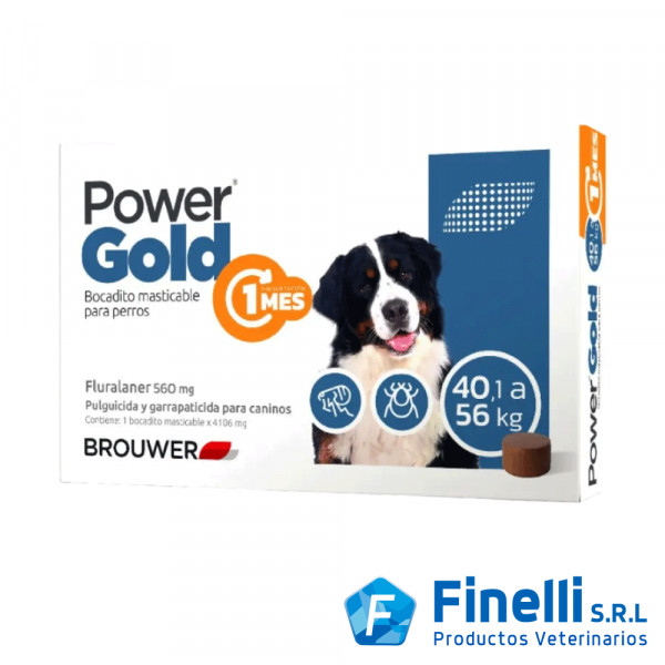 BROUWER - POWER GOLD 1M (40,1 a 60kg)