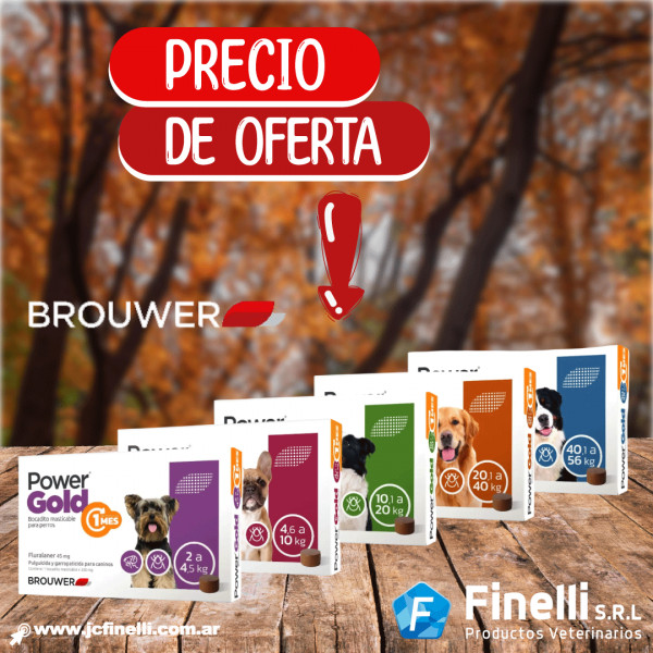 POWER GOLD 1 Mes