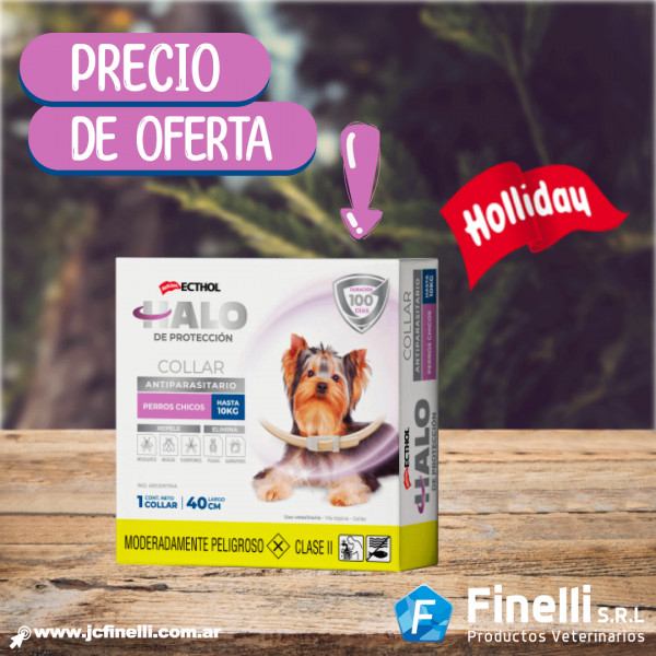 HALO COLLAR CHICO
