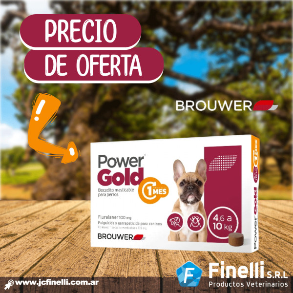 POWER GOLD 1 MES (4,6 A 10 Kg)