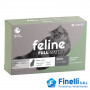 LABYES - FELINE FULL SPOT 2 A 5 KGS.-