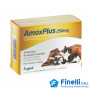 AFFORD - AMOX PLUS 250mg x 100 Comp.