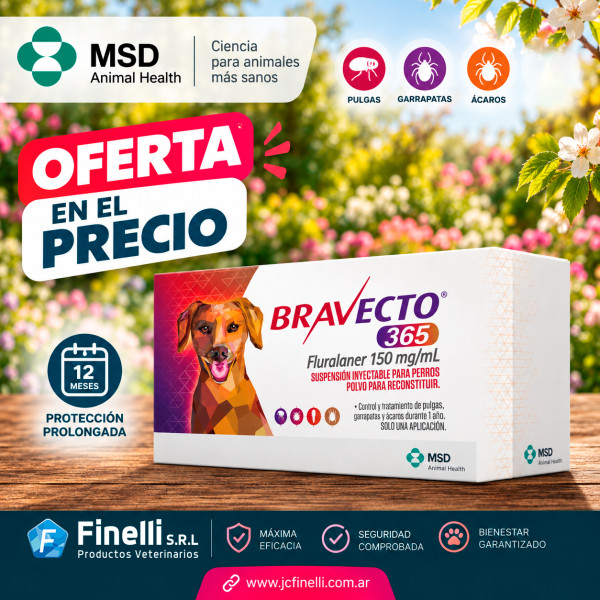 BRAVECTO 365 INYECTABLE