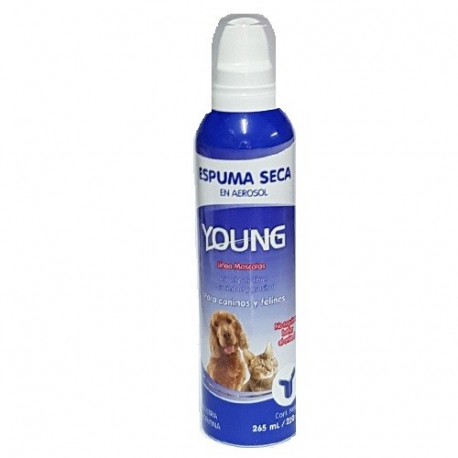 RUMINAL - ESPUMA SECA YOUNG X 265 ml.